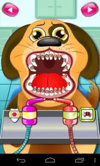 Animal Dentist Office Screen Shot 3