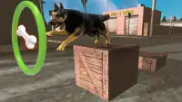 Dog Stunts & Simulator 3D - Game Anjing Gila Screen Shot 0