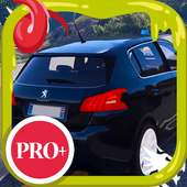 City Driving Peugeot Car Simulator