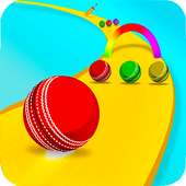 Cricket Ball Twist : Rainbow Color