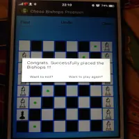 Chess Bishops Problem Screen Shot 2