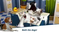 Dog Hotel – Play with dogs and manage the kennels Screen Shot 0