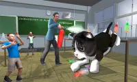 Ultimate Cat Adventures: Pet Life Simulator Screen Shot 1