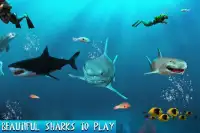 Angry Wild Shark Sim Screen Shot 8