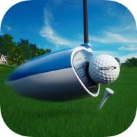 Perfect Swing - Golf