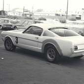 Quebra-cabeças Mustang Shelby GT350