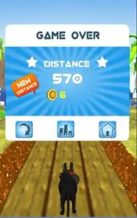 Ninja Run Screen Shot 4