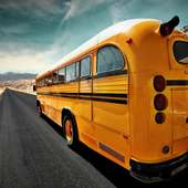 الحافلات المدرسية الجديدة بانوراما الألغاز