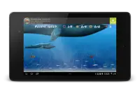 Wonder Fish Jeux Gratuits HD Screen Shot 8