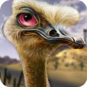 Ostrich Hunter Shotgun Shooter