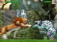 Wild Big Cats Fighting Challenge 2: Lion vs Tigers Screen Shot 4