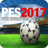 Guide PES 2017