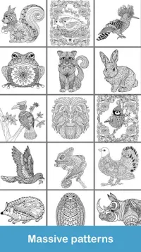 2020 for Animals Coloring Books Screen Shot 3