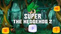 Super The Hedgehog Adventure 2 Screen Shot 0