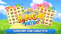 Bingo: Free the Pets Screen Shot 7