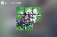 Cute Kittens Puzzle Screen Shot 1