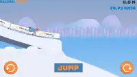 Ski Jump Pro Screen Shot 2