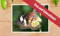 Free Butterfly Games: Kids Screen Shot 3