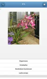 النباتات المنزلية - quiz Screen Shot 1
