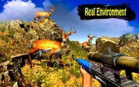 Wild Deer Hunting Adventure: Animal Shooting Games Screen Shot 2