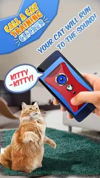 Chame um treinamento de Clicker Cat Screen Shot 2