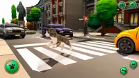 My Running Cat Family Pet Sim Screen Shot 0