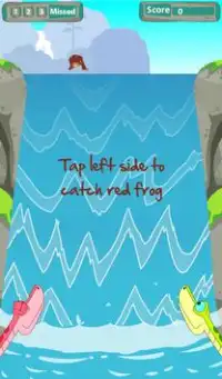 Frog Catcher Screen Shot 9