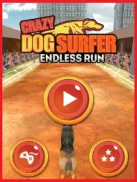 Crazy Dog Surfer - Endless Run Screen Shot 6