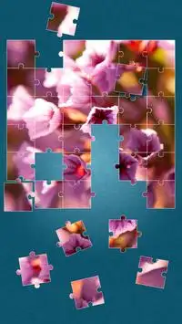 Flowers Puzzle Game Screen Shot 6