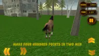 غضب البرية الحصان محاكي 3D Screen Shot 3