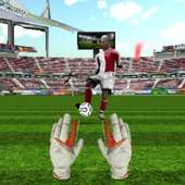 Portero de Fútbol 3D HD