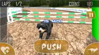 pet racing Stunt Simulator: real dog game Screen Shot 4