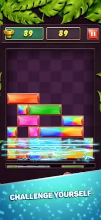 Block Puzzle: Drop and Classic Screen Shot 0