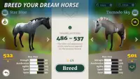 Wildshade: fantasy horse races Screen Shot 2