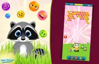 Ball Crush Raccoon Screen Shot 3