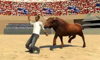 Angry Bull Arena 2016 Screen Shot 1