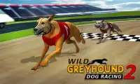 Wild Greyhound Dog Racing 2 Screen Shot 0