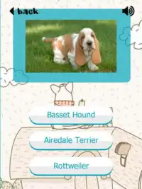 子犬のクイズ - 推測人気のある品種 Screen Shot 5