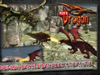 Play A Dragon Screen Shot 2