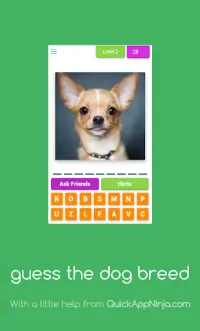 Guess The Dog Breed- Quiz Screen Shot 1