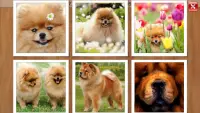 Dogs Puzzle - Kids & Adults. Free jigsaw game! Screen Shot 0