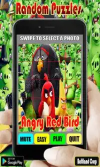 Random Angry Red Bird Puzzles Screen Shot 1