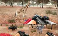Safari sharp sniper: 4X4 Jeep Simulation Screen Shot 1