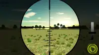 Wild Bear Hunting Sniper 3D Screen Shot 5