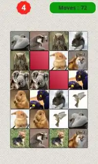 Animals Matching Game Screen Shot 1