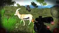 Animal Hunting Wild Adventure Safari Animals game Screen Shot 4