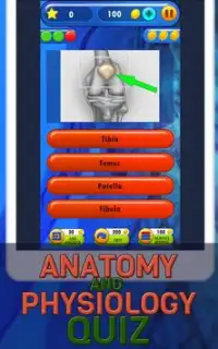 Anatomia Humana Teste Quiz Screen Shot 6