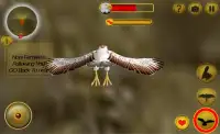 American Falcon Wild Sim 2016 Screen Shot 5