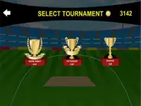 Cricket 2d Screen Shot 1