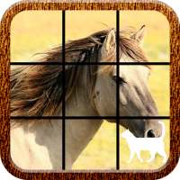 Horse Slide Puzzle
